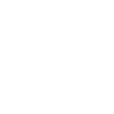 snow flake